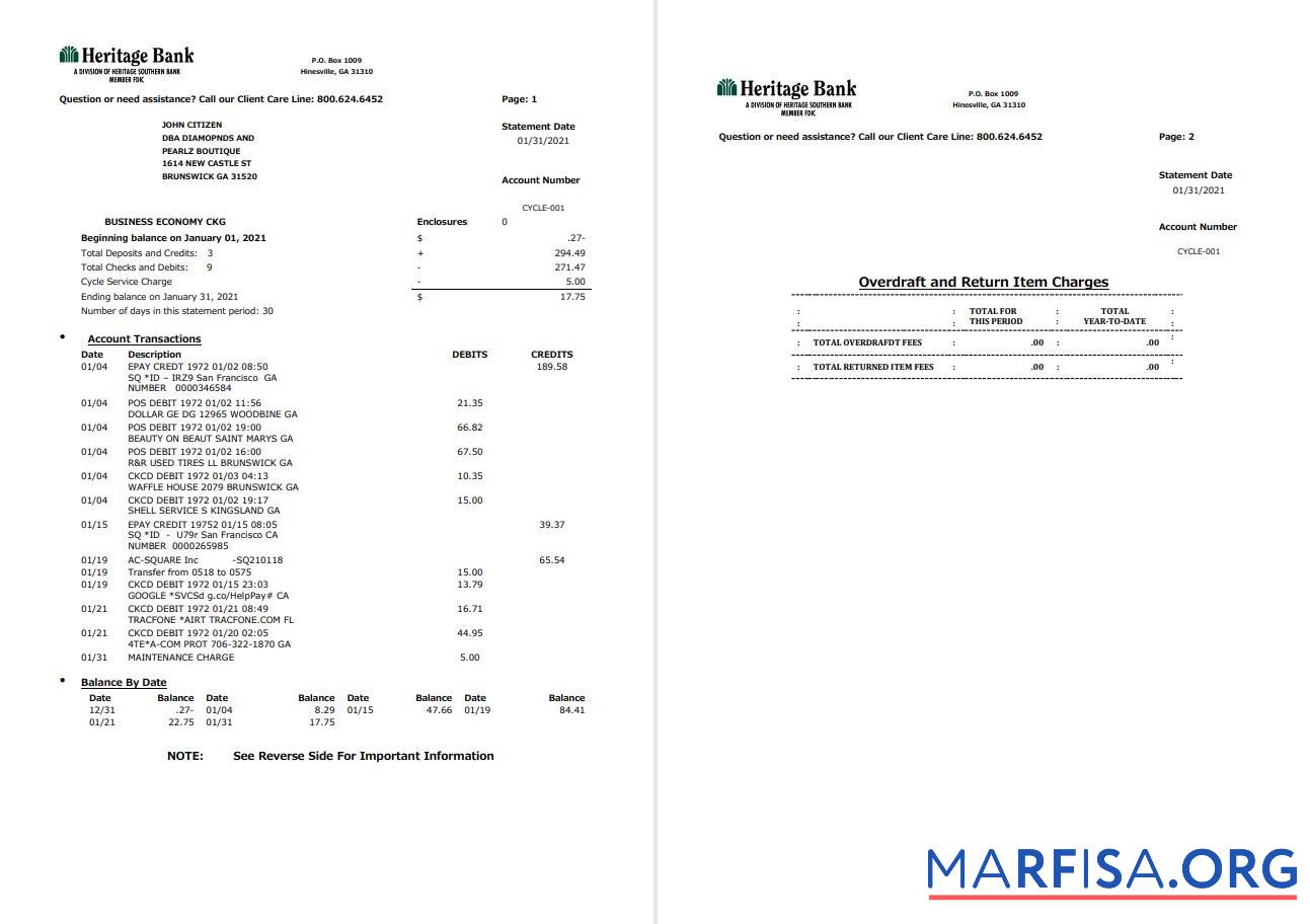 Blank USA Heritage bank statement 3 pages word example
